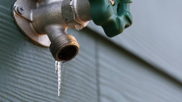 Best Local Plumber Services  in Monroe, NC